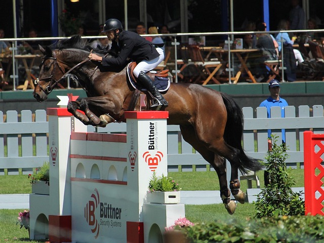 德转列从未入选国家队11人阵容：约罗、卡雷拉斯、德拉普在列