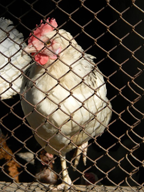 员的悉心培 员的悉心培