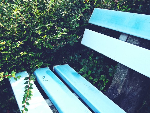 顶级俱乐部 顶级俱乐部