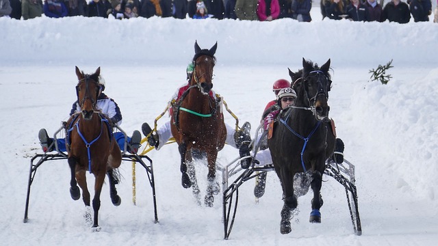 们在青年队 们在青年队