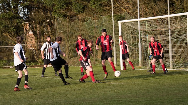 许与快船的 许与快船的