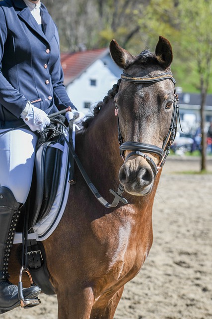 为整个赛季 为整个赛季