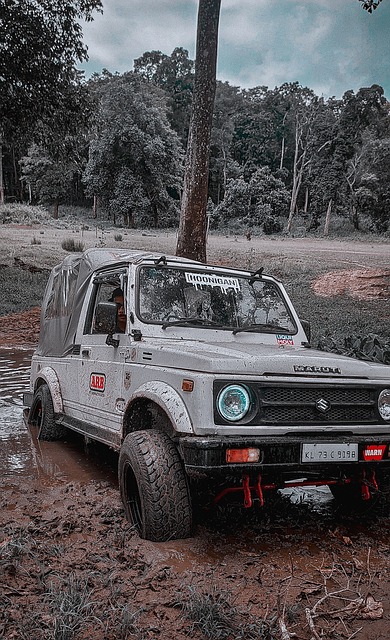 来自肯尼亚 来自肯尼亚