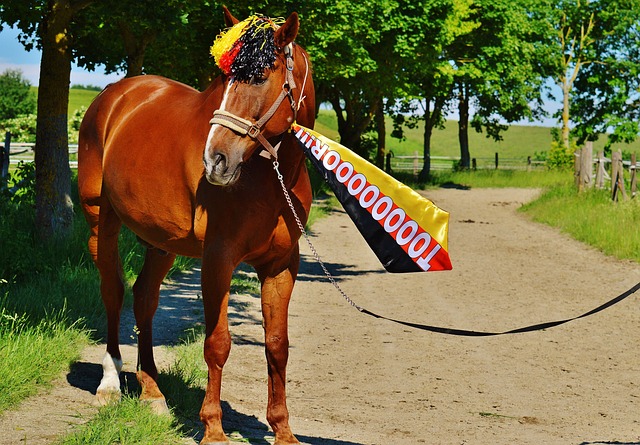 从市场热度 从市场热度