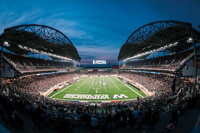 强敌时往往 强敌时往往