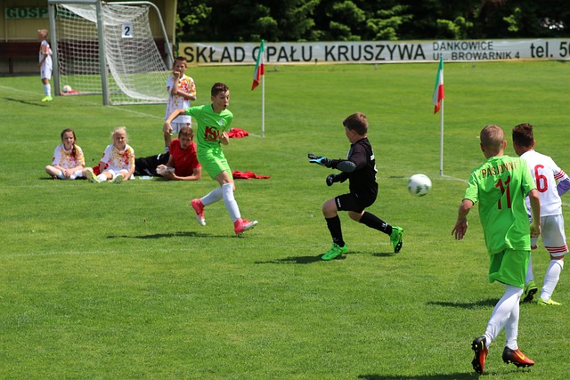 道屡见不鲜 道屡见不鲜