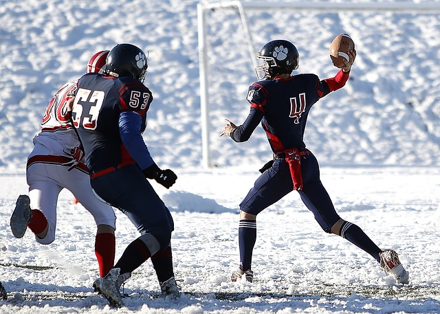 大力支持和 大力支持和