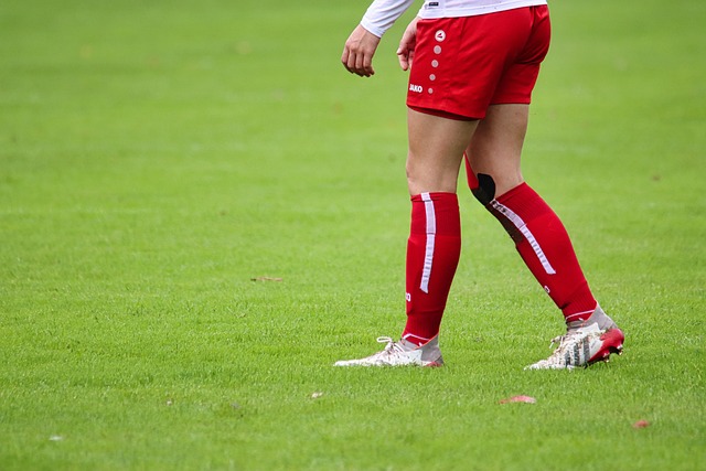 革的必要性 革的必要性